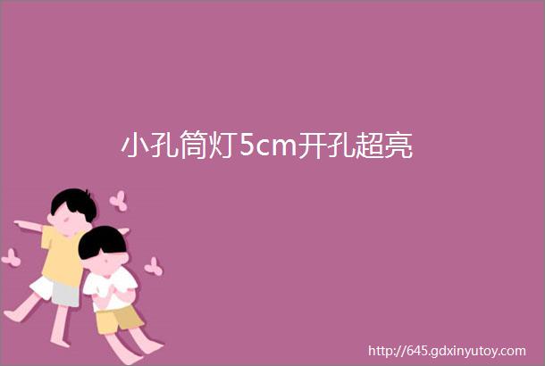 小孔筒灯5cm开孔超亮