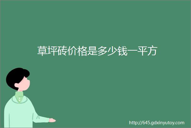 草坪砖价格是多少钱一平方