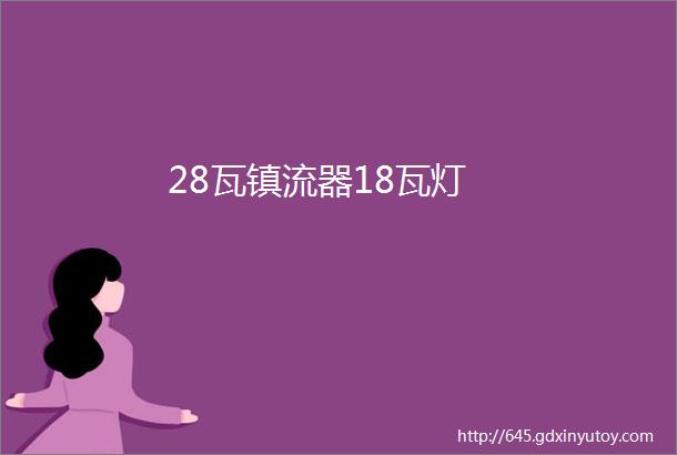 28瓦镇流器18瓦灯