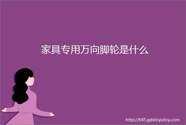 家具专用万向脚轮是什么