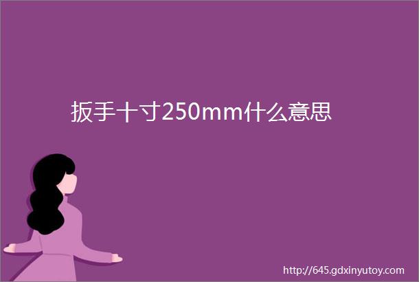 扳手十寸250mm什么意思