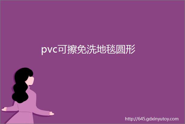 pvc可擦免洗地毯圆形