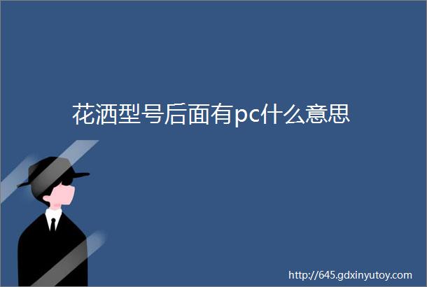 花洒型号后面有pc什么意思