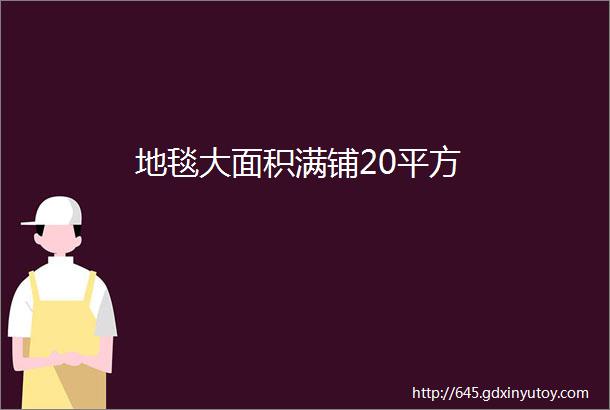 地毯大面积满铺20平方