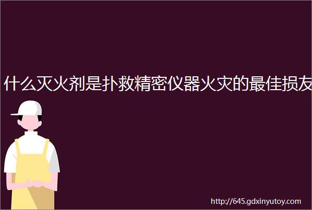 什么灭火剂是扑救精密仪器火灾的最佳损友