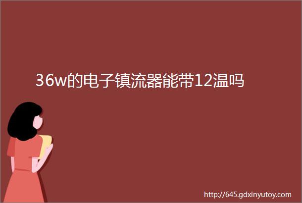 36w的电子镇流器能带12温吗