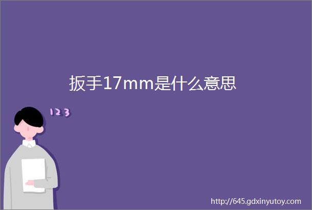 扳手17mm是什么意思